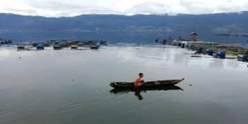Nelayan sedang berada di keramba jaring apung Danau Maninjau. (Antara)