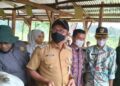 Wujudkan Swasembada Daging, Pemkab Solsel Bangun Sentra Pembibitan Sapi