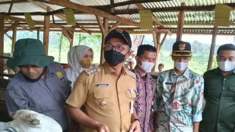Bupati Solok Selatan, Khairunas di dampingi Wakil Bupati Yulian Efi dan Ketua DPRD Solok Selatan, Zigo Rolanda saat menyerahkan bantuan sapi melalui APBD tahun anggaran 2021 kepada masyarakat setempat. (Antarasumbar/Erik Ifansya Akbar)