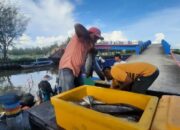 Bantuan Pemerintah Dongkrak Produksi Ikan Tangkap di Pariaman