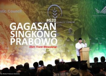 Gagasan “Singkong” Prabowo di G20