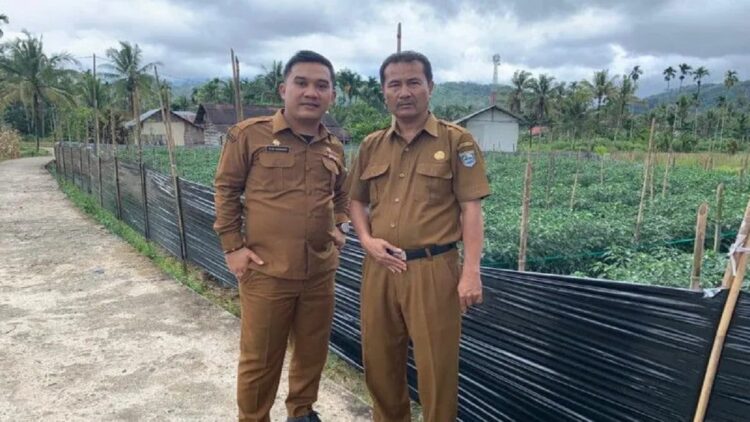 Kepala Dinas Pemberdayaan Masyarakat Nagari (DPMN) Pasaman Barat Randy Hendrawan saat melihat tanaman cabe masyarakat sebagai upaya pemberdayaan ekonomi masyarakat Nagari atau desa. (Antara/Altas Maulana).