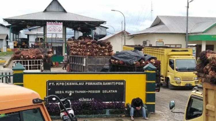 Pabrik PT Kemilau Permata Sawit di Kabupaten Pesisir Selatan. (Antara Sumbar/Didi Someldi Putra)