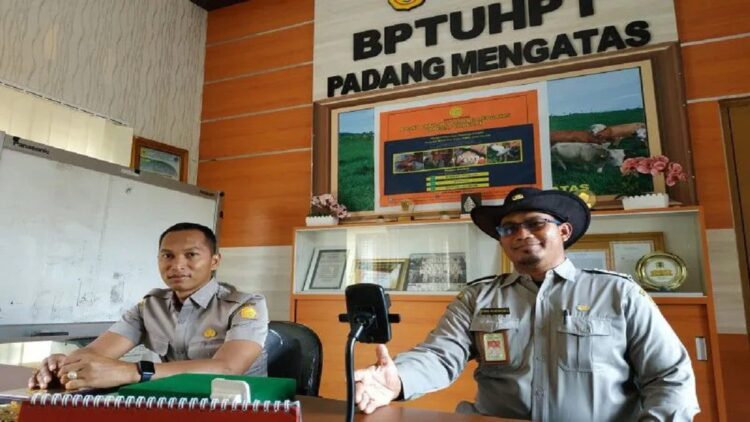 Kepala Balai Pembibitan Ternak Unggul dan Hijauan Pakan Ternak (BPTU-HPT) Padang Mengatas, Kabupaten Limapuluh Kota Dani Kusworo. Antara/Akmal Saputra