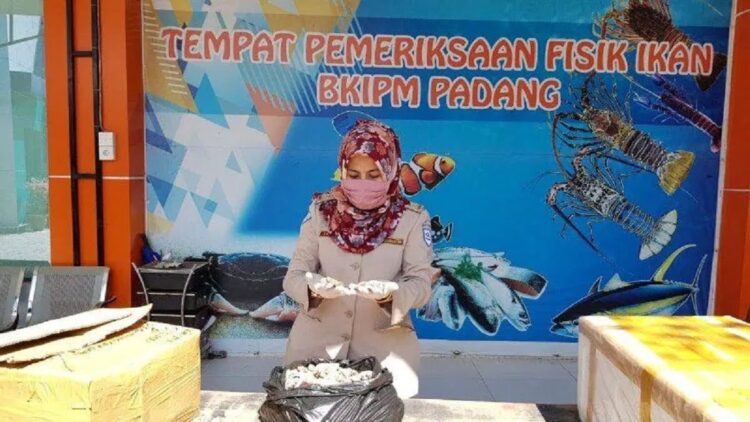 Kepala SKIPM Padang, Abdur Rohman (ANTARA/Mario Sofia Nasution)