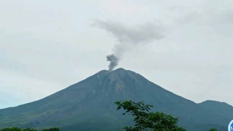 Gunung Semeru Erupsi, PVMBG Minta Masyarakat tak Berada di Radius 5 Km 1 Gunung Semeru erupsi melontarkan kolom abu setinggi lebih lebih kurang 500 meter pada pukul 07:02 WIB, Jumat (25/11/2022). (ANTARA/HO-PVMBG)