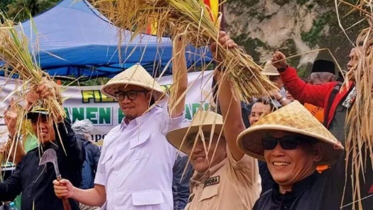 Wako Erman Safar lakukan panen raya padi