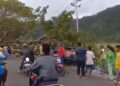 Pohon Tumbang di Padang Timpa Mobil yang Melintas, Sopir Terluka 6 Pohon Tumbang di Padang Timpa Mobil yang Melintas, Sopir Terluka