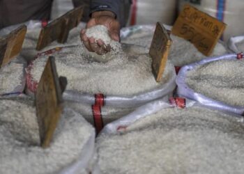 Harga Beras di Solsel Naik, Pemkab Minta Suplai dari Daerah Lain