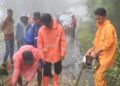 Jalan Lintas Bukittinggi-Maninjau Lumpuh usai Pohon Tumbang di Kelok 42