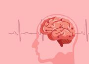 Waduh! Indonesia Habis Rp2 Triliun Karena Penyakit Ini