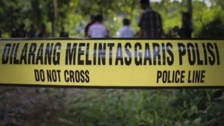 Ilustrasi truk masuk jurang. (net)