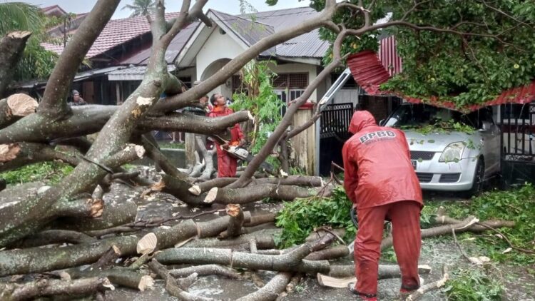 Mobil dalam parkiran rumah tertimpa pohon di Padang akibat hujan deras.