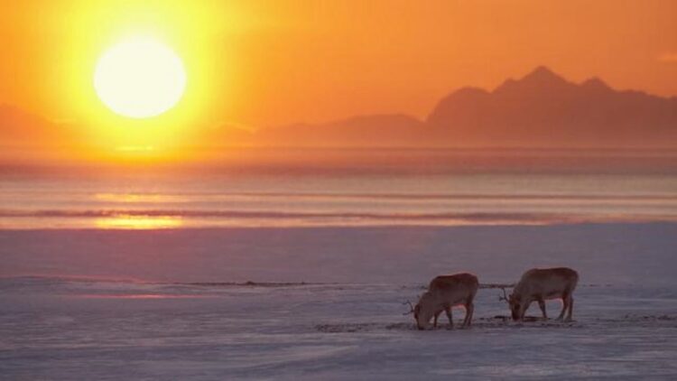 Kawasan bagian Arktik ini tidak memiliki rentang waktu malam hari saat musim panas. (Sumber foto: mytrip.com)