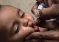 Ilustrasi seorang bayi saat divaksin polio. (AP Photo)