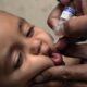 Ilustrasi seorang bayi saat divaksin polio. (AP Photo)
