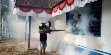 Dinkes Agam Catat 318 Kasus DBD selama 2022, 2 Orang Meninggal