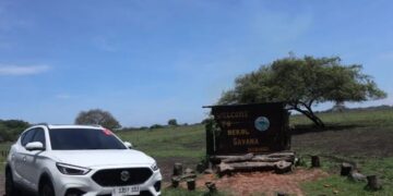 MG Motor Luncurkan Mobil Baru Tahun 2023, Ini Bocorannya 8 MG Motor Luncurkan Mobil Baru Tahun 2023, Ini Bocorannya