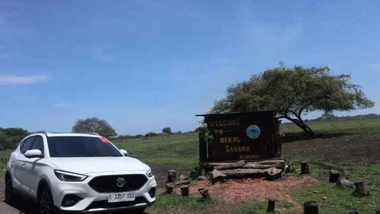 MG Motor Luncurkan Mobil Baru Tahun 2023, Ini Bocorannya 1 MG ZS saat difoto di kawasan Taman Nasional Baluran, Situbondo, Jawa Timur, Rabu (7/12/2022). (ANTARA/Arnidhya Nur Zhafira)