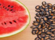 Dianggap lebih Bergizi, Ribuan Tahun Lalu Orang Libya Konsumsi Biji Semangka, Bukan Buahnya