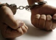 Pelaku Penganiaya Lansia di Pasaman Ditangkap Polisi, Profesinya Mahasiswa