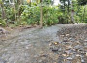 Walhi Sumbar Minta Aliran Sungai Ibuang Ditata, Ini Dampaknya jika Hujan Deras