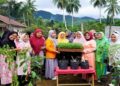 Tekan Inflasi, 8 KWT di Pasbar Diminta Tanam Cabai di Pekarangan