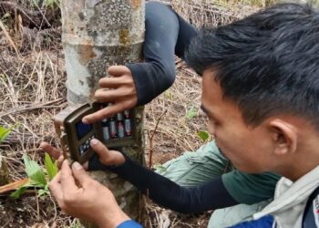 BKSDA-Sintas Latih Masyarakat Agam Jaga Satwa Liar