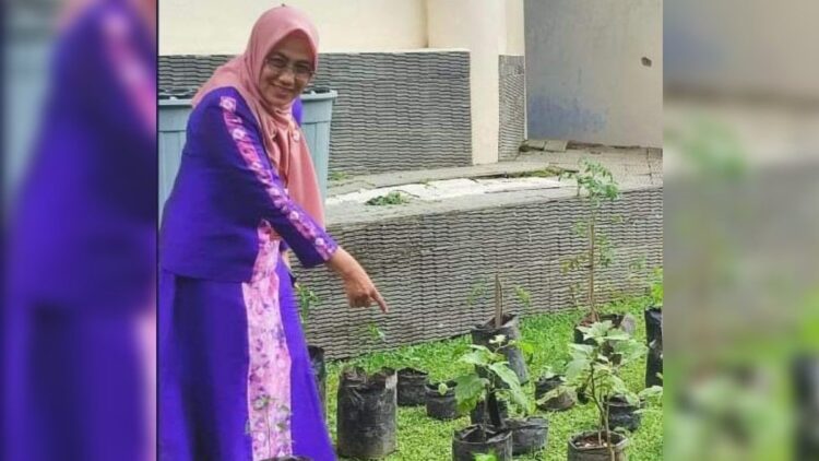 Ilustrasi pemanfaatan lahan kosong untuk ketahanan pangan. (Istimewa)