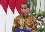 Presiden Jokowi Minta Industri Perbankan lebih Peduli UMKM
