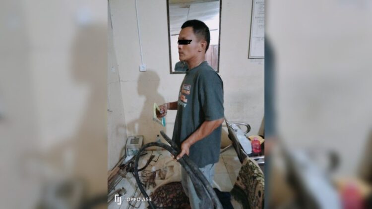 Pelaku pencurian kabel di Semen Padang ditangkap polisi. (Istimewa)