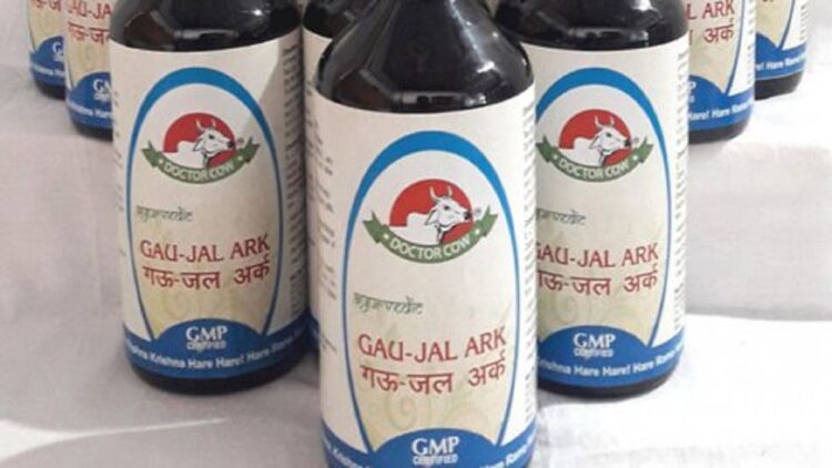 Gau Jal, salah satu minuman paling aneh yang terbuat dari kencing sapi. (net)