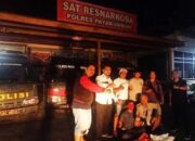 Kirim 7 Paket Besar Ganja lewat Ekspedisi, Seorang Pria di Payakumbuh Dibekuk Polisi