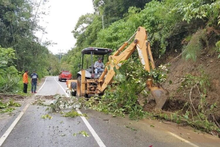Sepanjang 2023, 36 Orang Meninggal di Agam Akibat Bencana Alam 1 Bencana tanah longsor terjadi di Kelok 44 Agam. (ANTARA/Dok BPBD Agam)