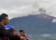 Akibat Hujan Abu Vulkanis Kerinci, Tanaman Petani di Solsel Banyak yang Rusak