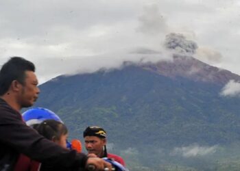 Akibat Hujan Abu Vulkanis Kerinci, Tanaman Petani di Solsel Banyak yang Rusak