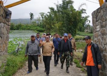 Bupati Tanah Datar cek kondisi terkini Gunung Marapi. (istimewa)