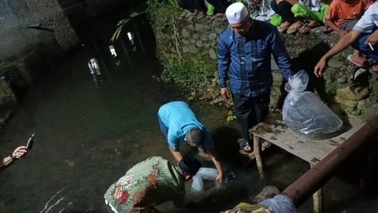 Pemkab Pasaman Barat melepas bibit ikan di sungai sebagai bentuk budidaya ikan di sungai beberapa waktu lalu sebagai upaya peningkatan produksi ikan. (ANTARA/Altas Maulana)