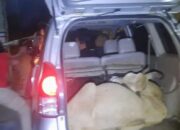 Beraksi dengan Mobil, Polisi Bekuk Kawanan Pencuri Ternak di Agam