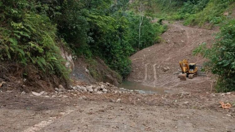 Jalan tembus Alahan Panjang-Bayang. ANTARA/Miko Elfisha