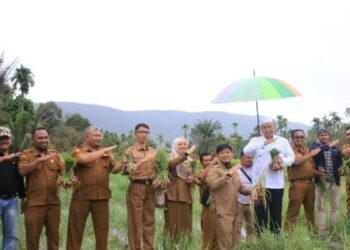 Pemkab Pasbar Dorong Nagari Tanam Bawang dan Cabai, Ini Tujuannya