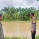 Polsek Batang Anai dan BKSDA Sumbar patroli aliran sungai Batang Anai untuk mengamankan buaya. (Dok. Polsek Batang Anai)