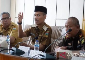 Wakil Bupati Solok Selatan, Yulian Efi (tengah). (ANTARA)