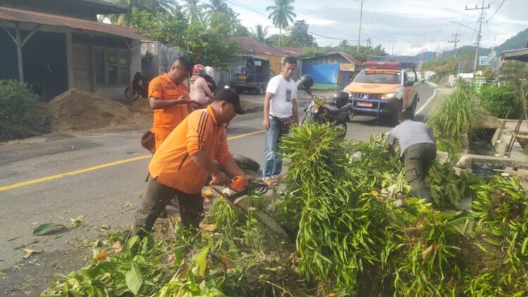 Pohon tumbang menutup sebagian ruas jalan lintas Padang-Painan pada Minggu (8/1/2023) sore. (Foto: radarsumbar.com / Dok. Pusdalops PB)