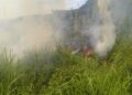 2 Hektare Lahan di Kawasan Unand Padang Hangus Terbakar, Ternyata Gegara Ini