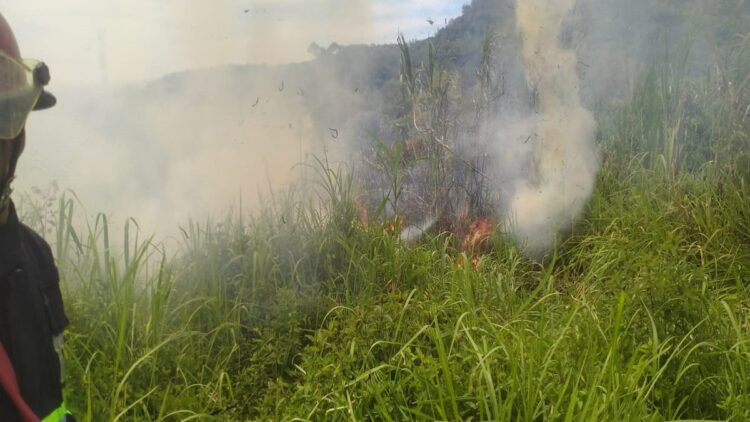 Kebakaran lahan di kawasan Unand pada Kamis (12/1/2023) siang. (Foto: radarsumbar.com / Dok. Dinas Damkar Padang)