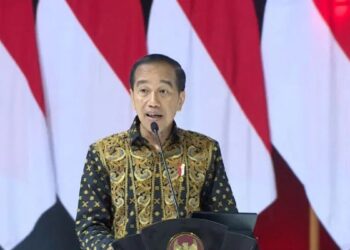 Presiden Jokowi. (ANTARA/Desca Lidya Natalia)