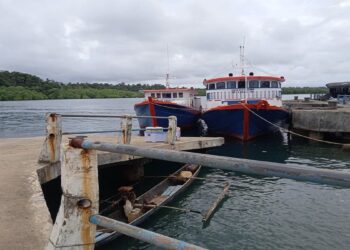 Gempa Magnitudo 4,4 Guncang Kepulauan Mentawai, Ini yang Terjadi