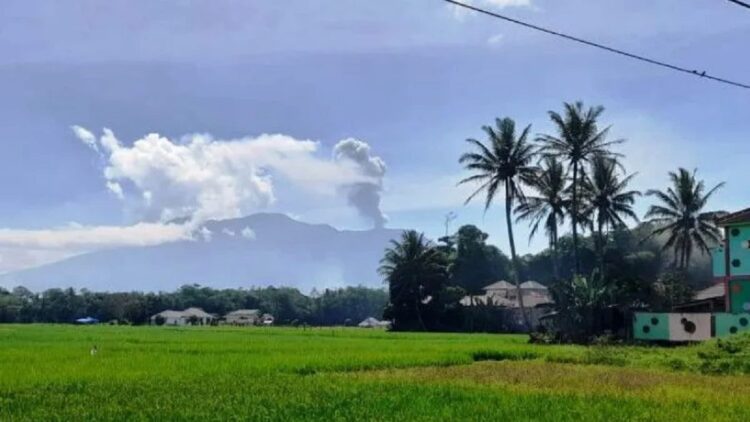 800 Ha Lahan Pertanian Warga Terdampak Erupsi Marapi 1 Erupsi Gunung Marapi pada Kamis (12/1/2023). (ANTARA/Al Fatah)