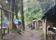 Pendaki yang Terjebak Erupsi Gunung Marapi Sudah Turun